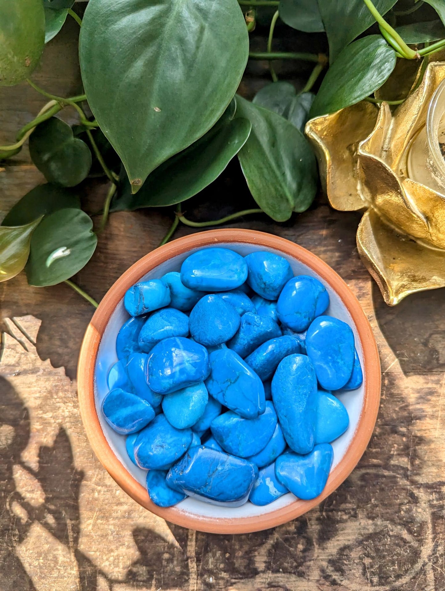 Blue Howlite Tumble