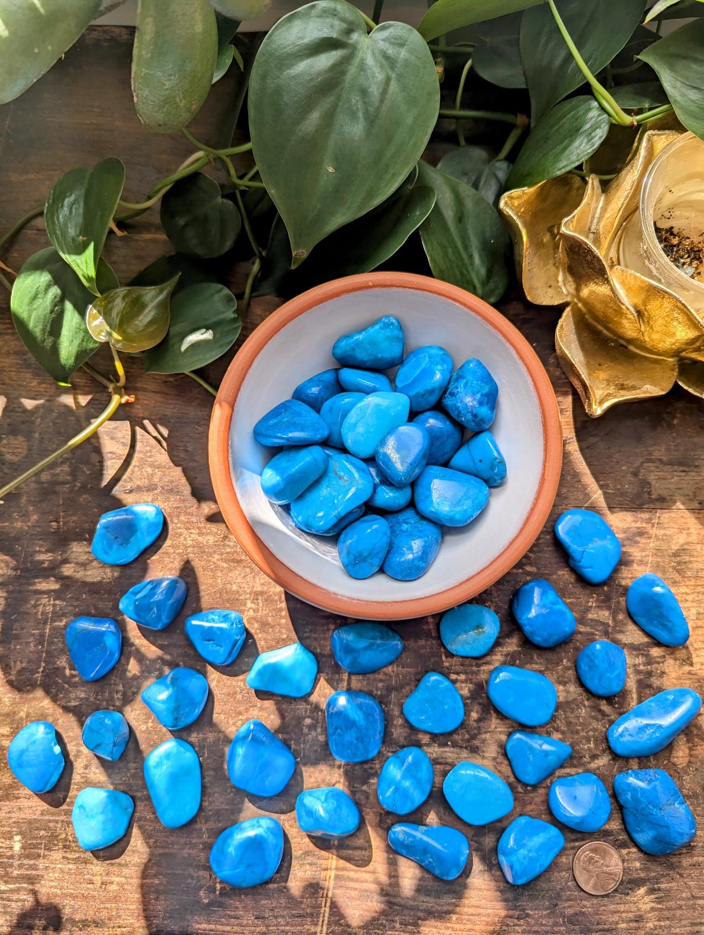Blue Howlite Tumble