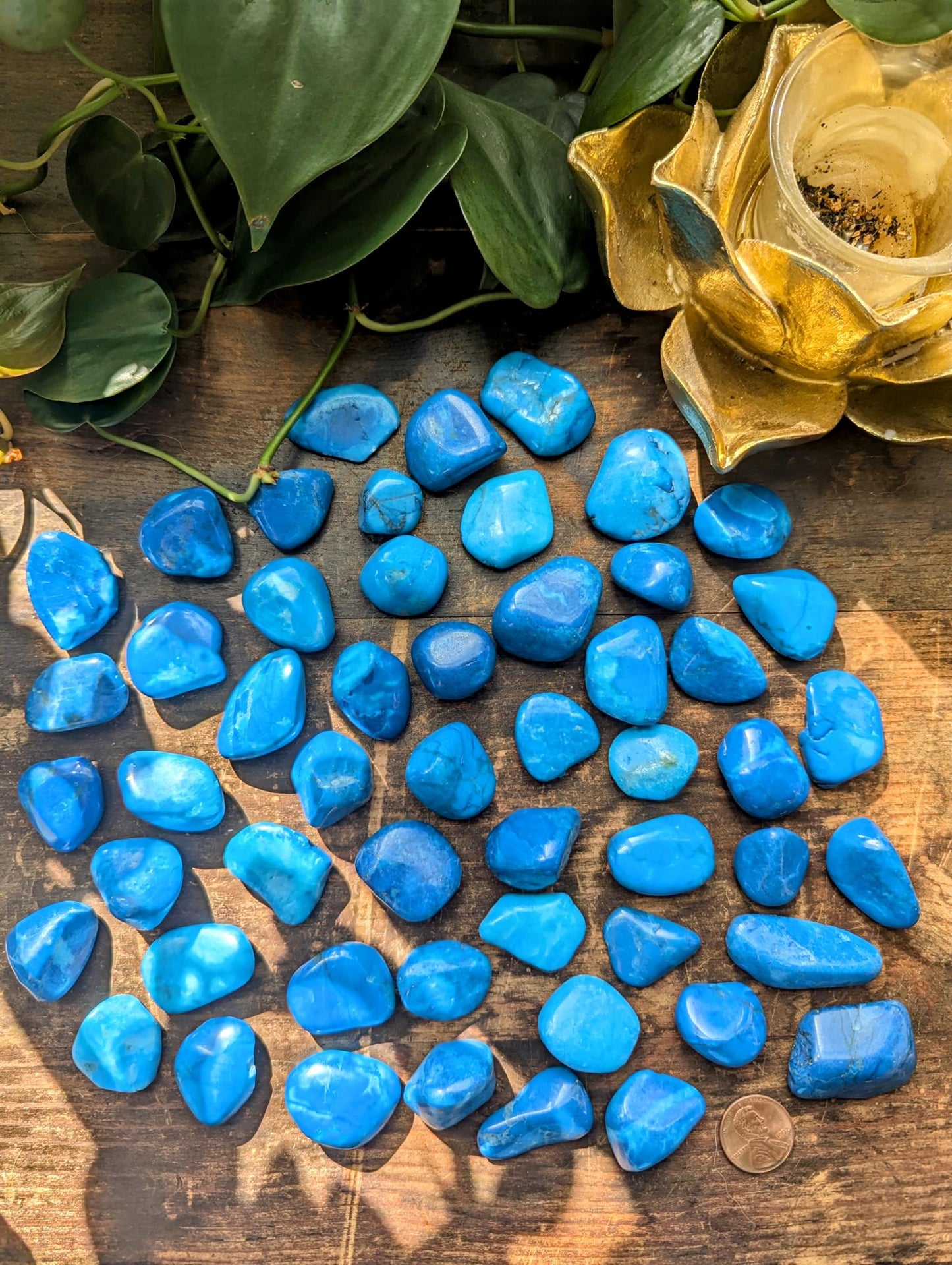Blue Howlite Tumble
