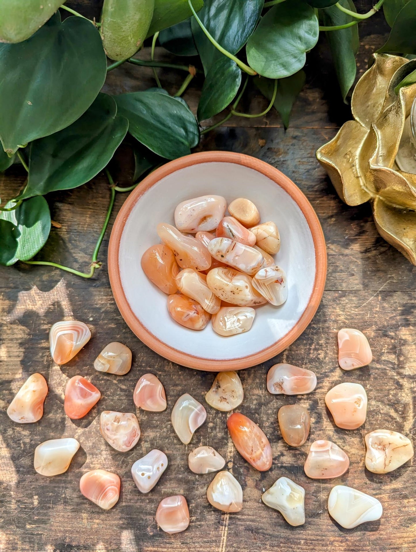 Peach Carnelian/Apricot Agate Tumble