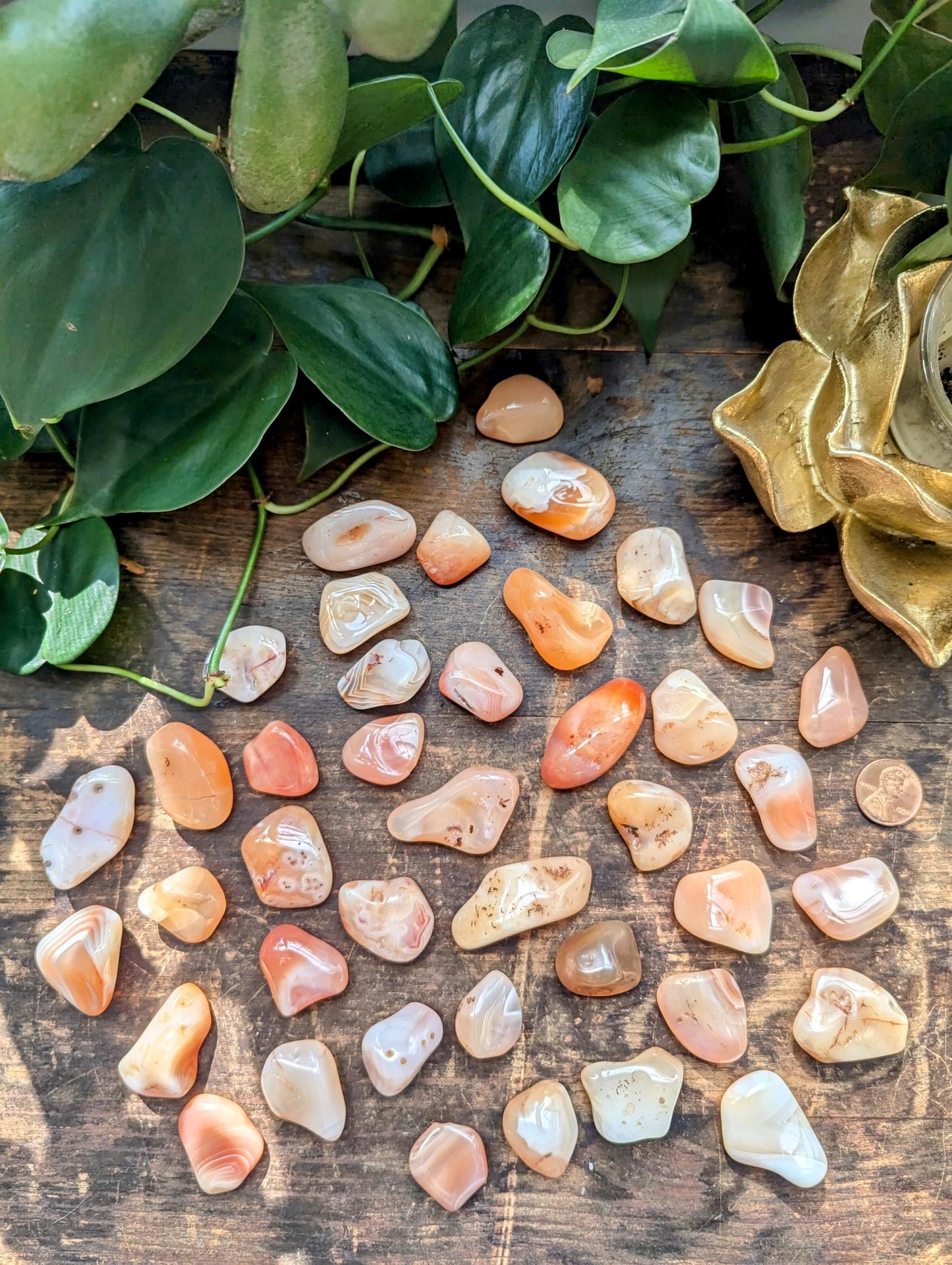 Peach Carnelian/Apricot Agate Tumble