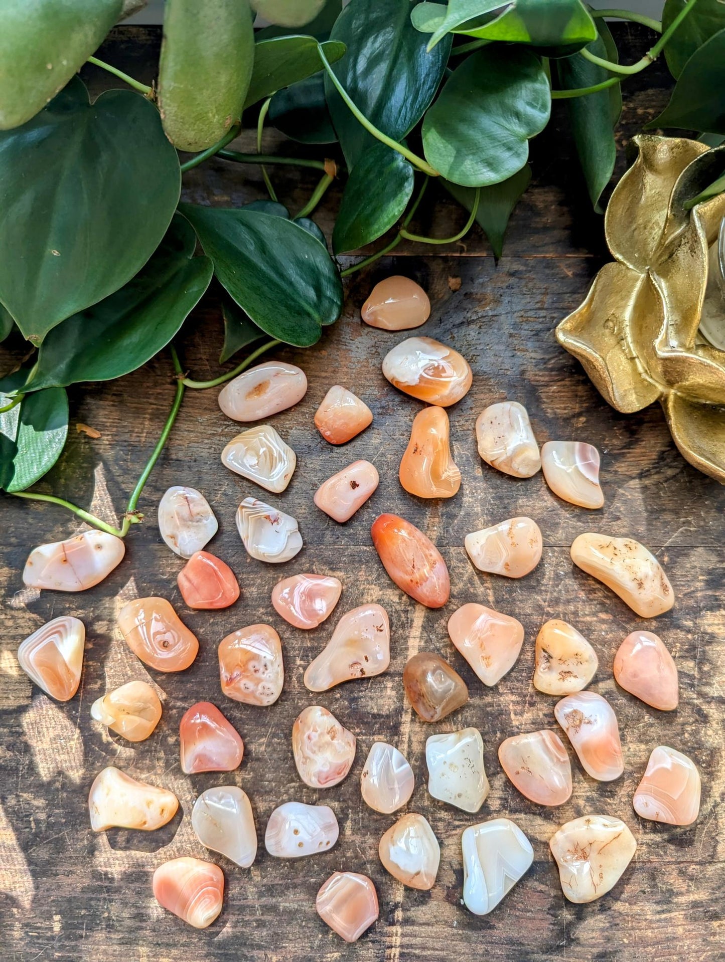 Peach Carnelian/Apricot Agate Tumble