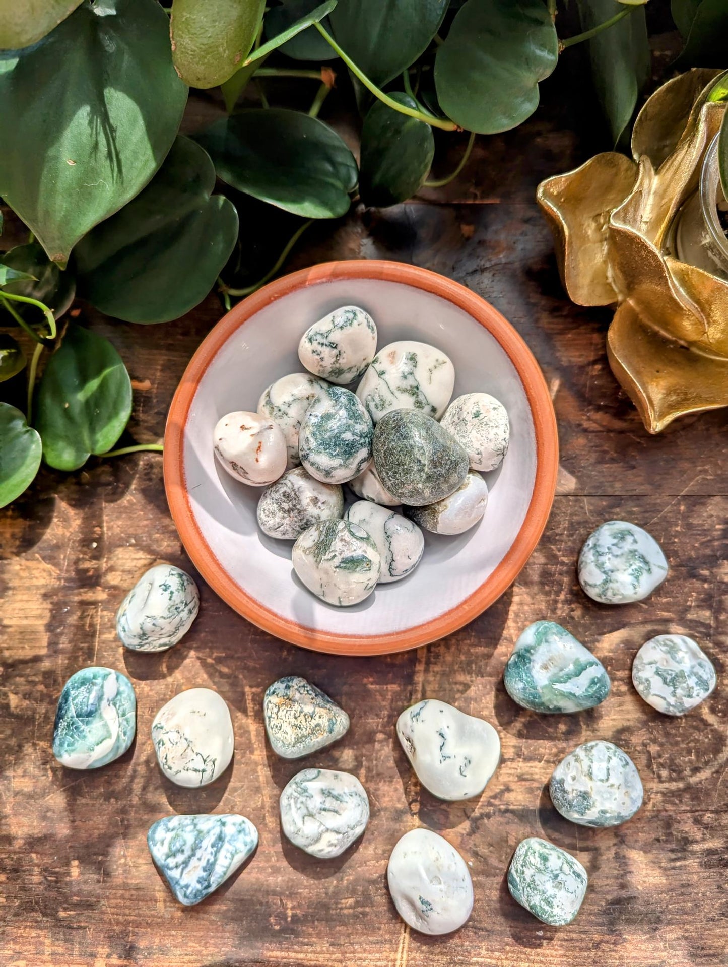 Tree Agate Tumble