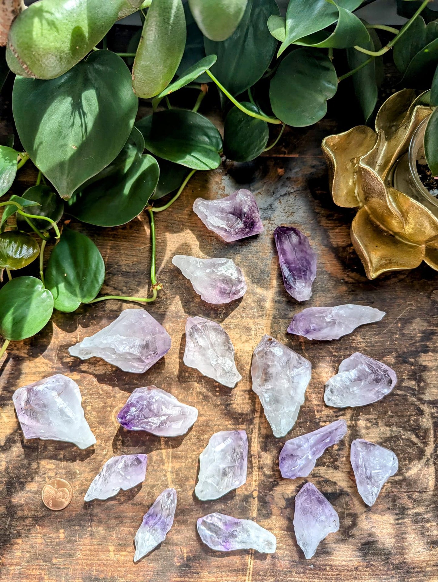 Raw Amethyst Points