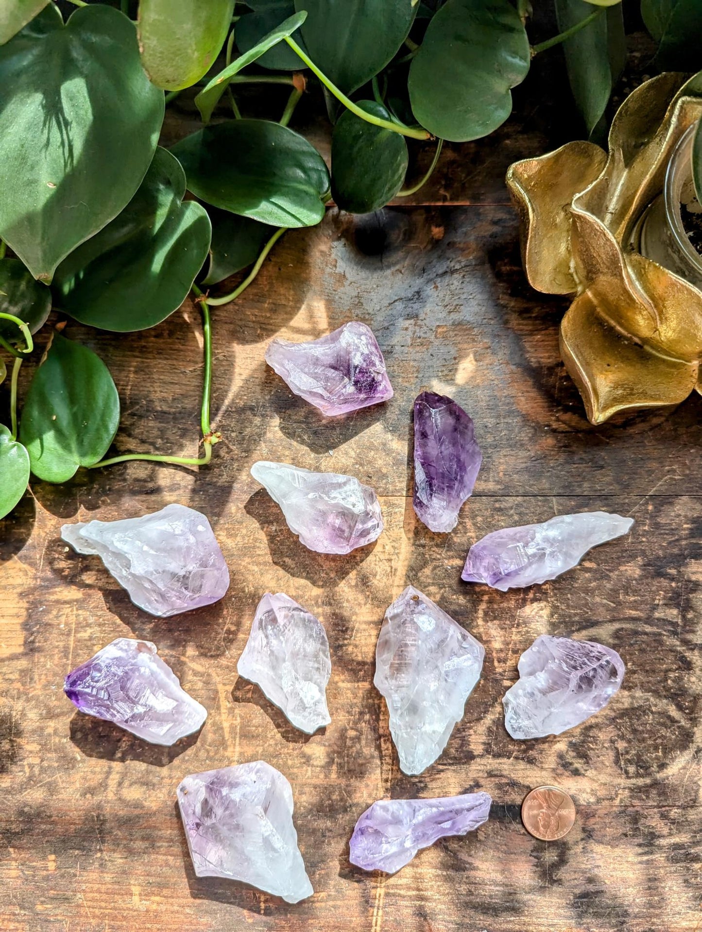 Raw Amethyst Points