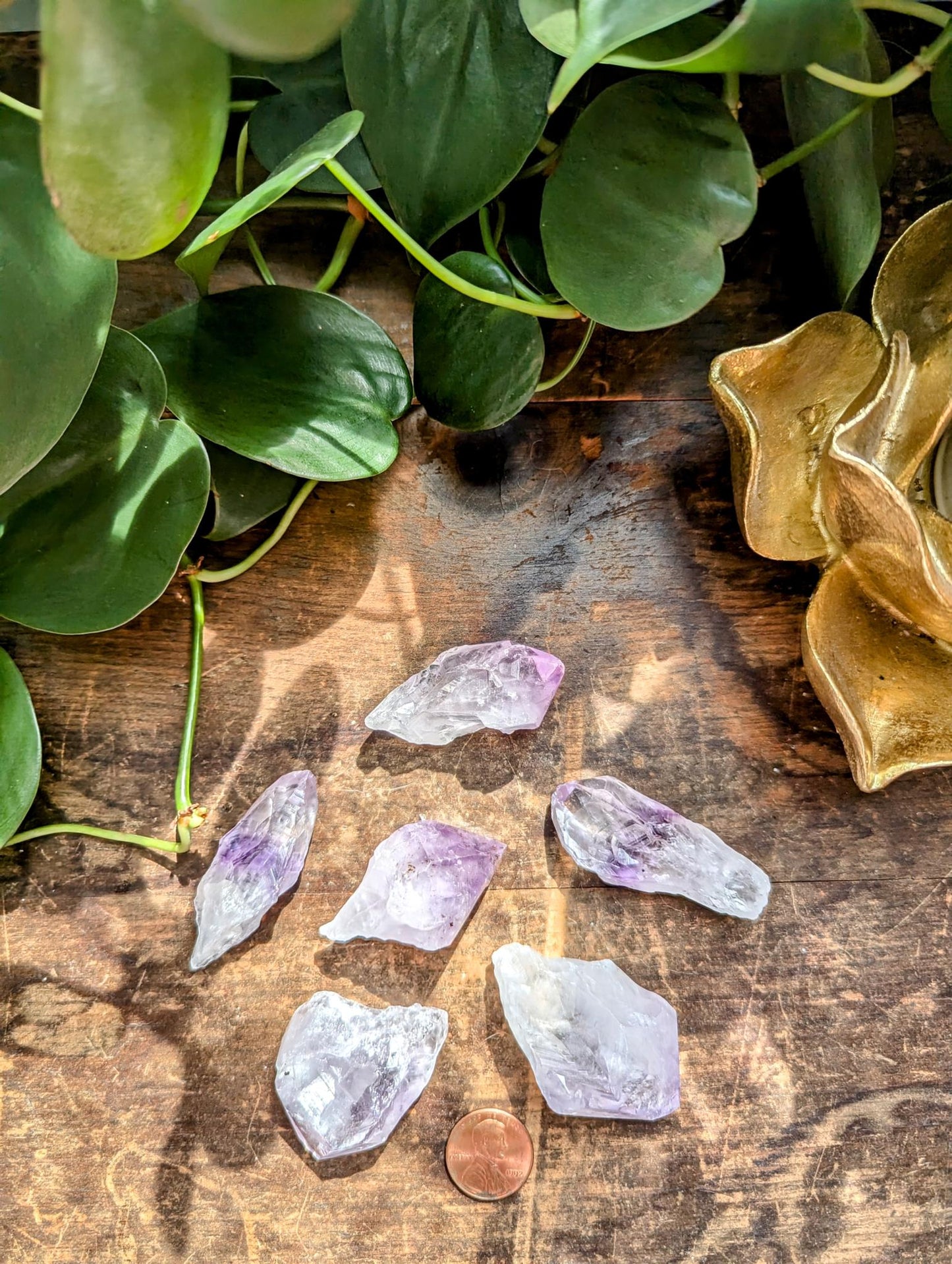 Raw Amethyst Points