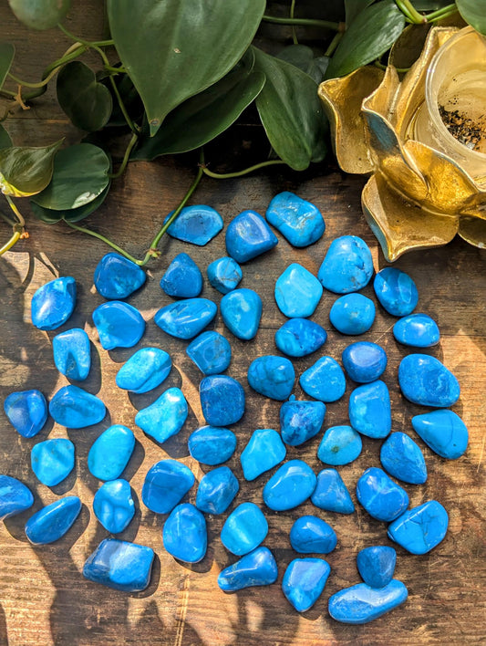 Blue Howlite Tumble