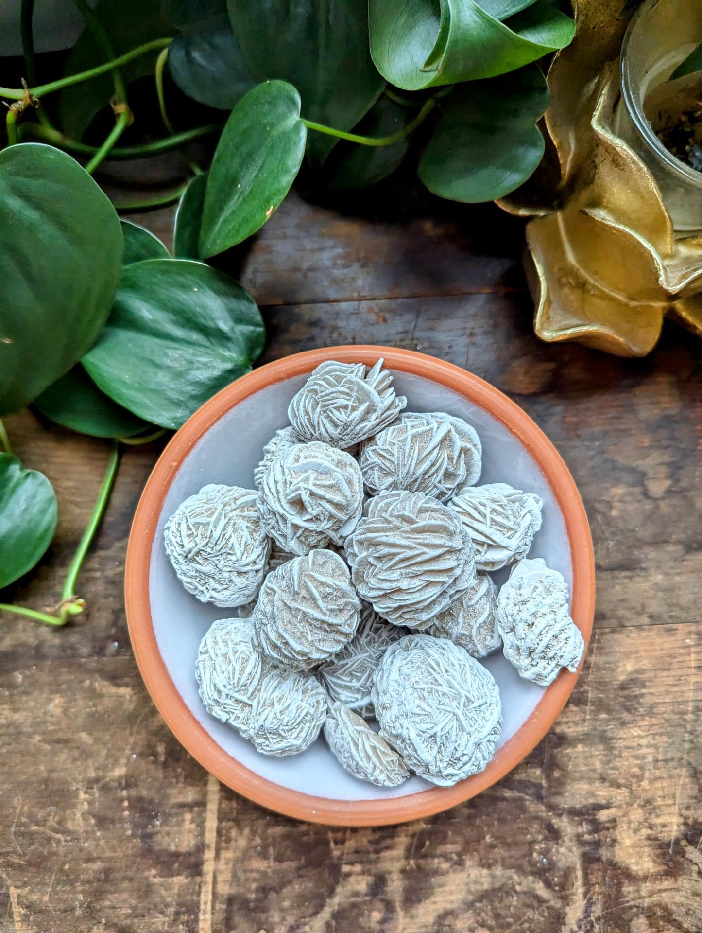 Desert Rose Selenite Freeform