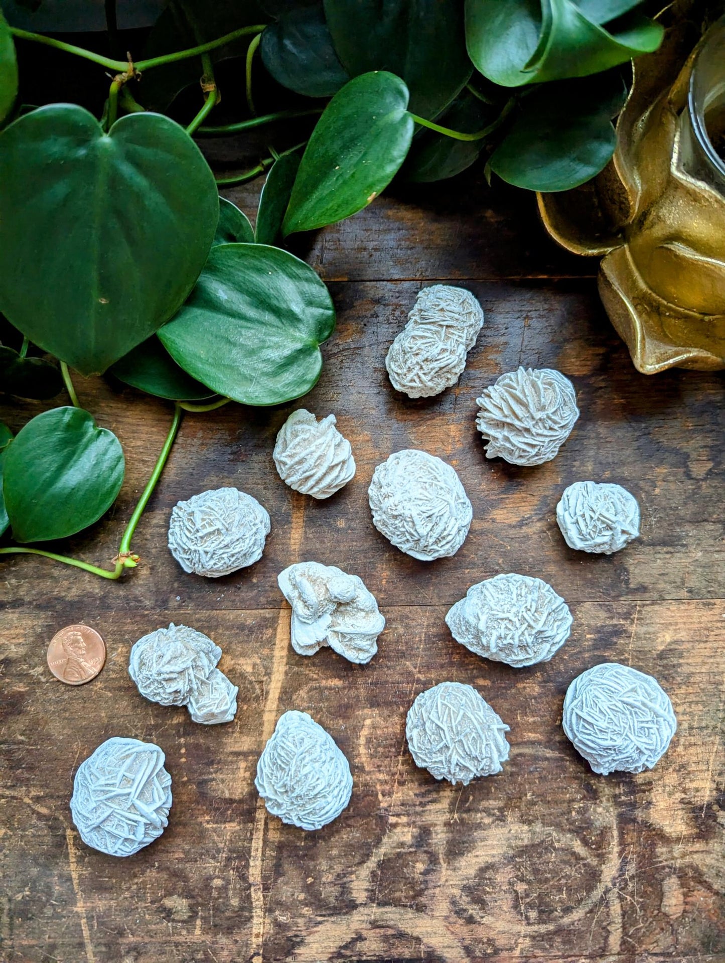 Desert Rose Selenite Freeform