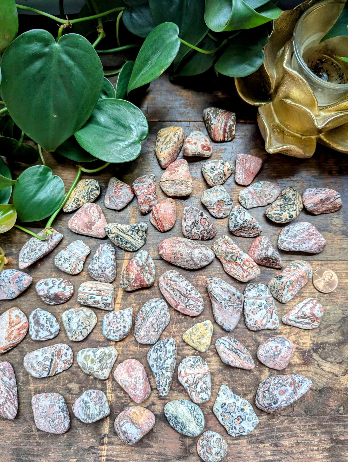 Leopardskin Jasper Tumble