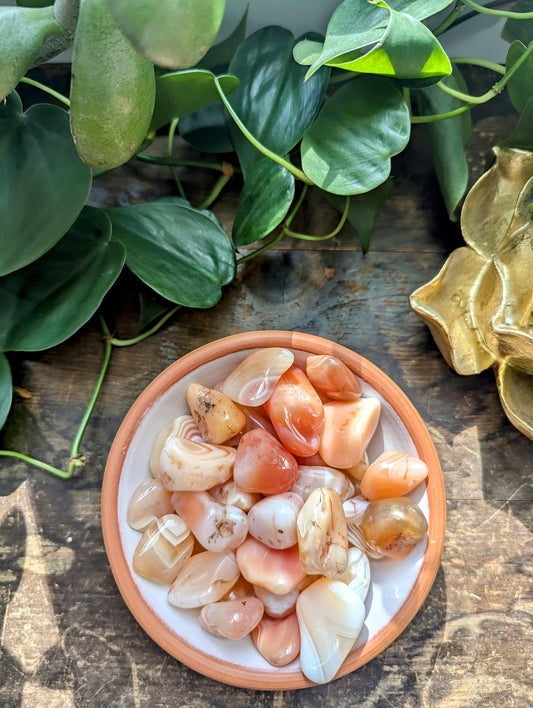 Peach Carnelian/Apricot Agate Tumble