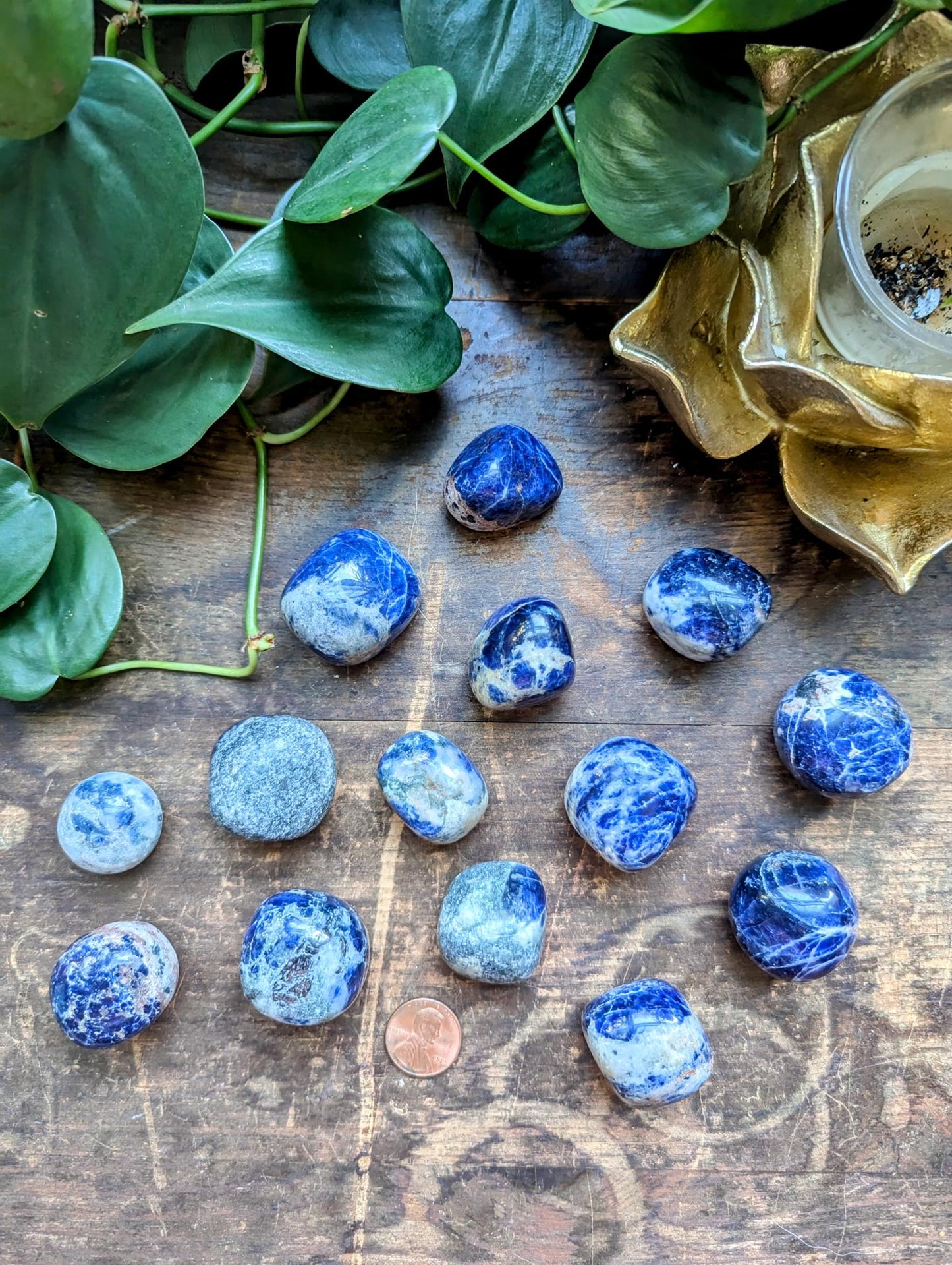 Sodalite Tumble