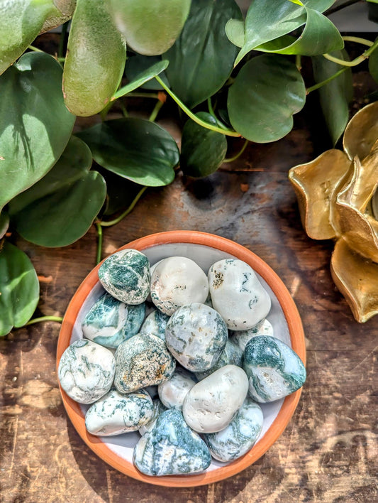 Tree Agate Tumble