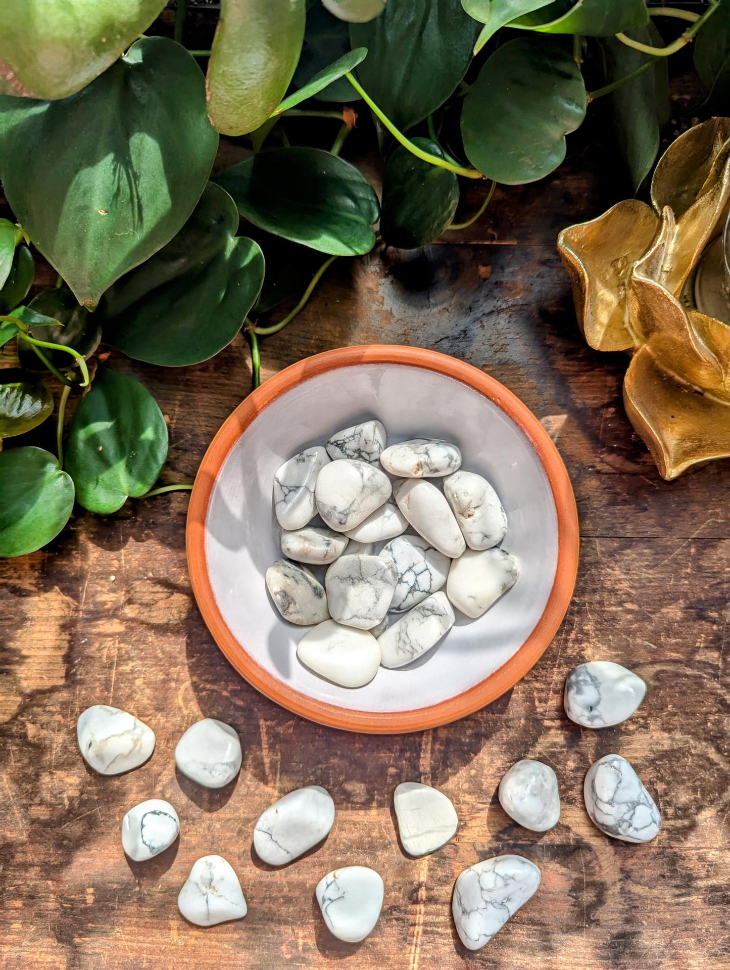 White Howlite Tumble